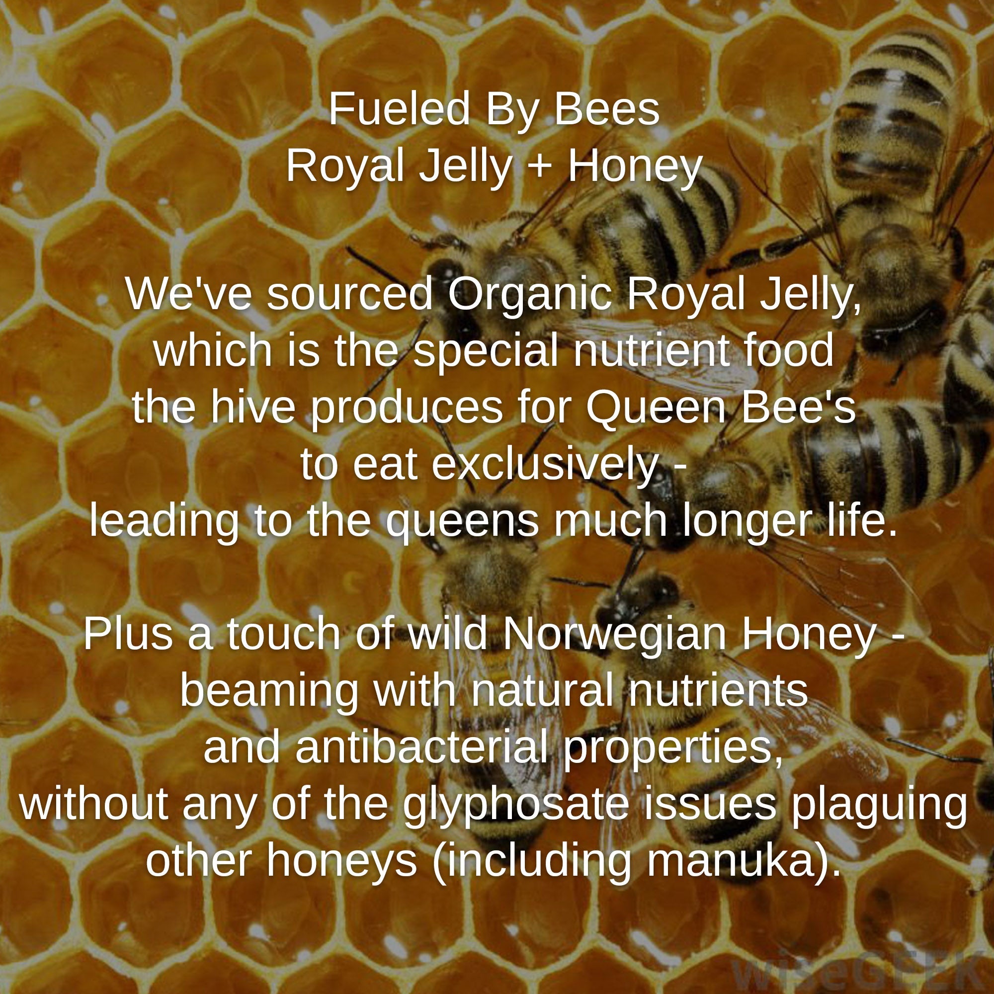 Shwally Tallow, Honey & Royal Jelly Deluxe Face Cream + Rosita Cod Oil Option