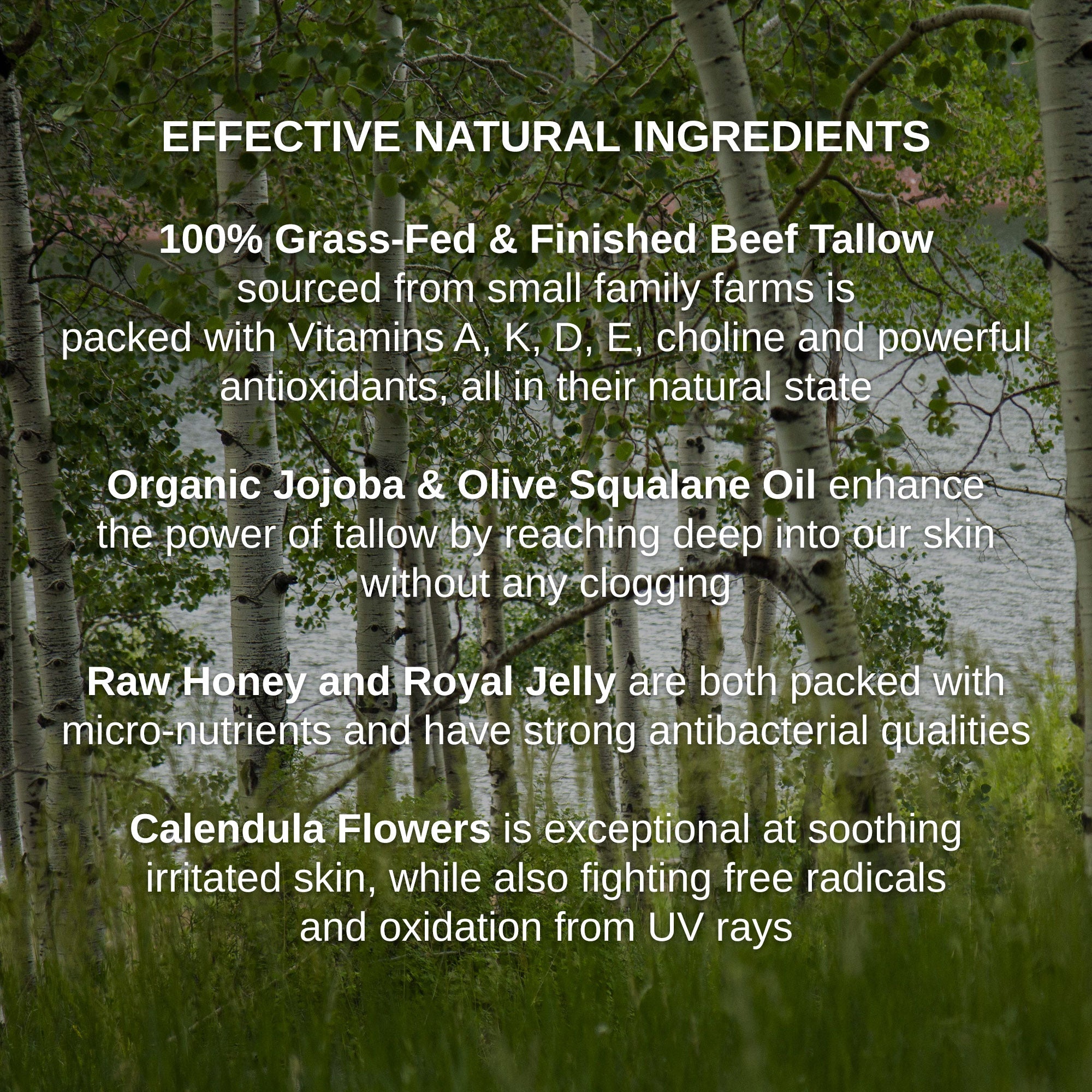 Shwally Tallow, Honey & Royal Jelly Deluxe Face Cream + Rosita Cod Oil Option